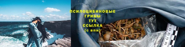 ПСИЛОЦИБИНОВЫЕ ГРИБЫ Алексеевка