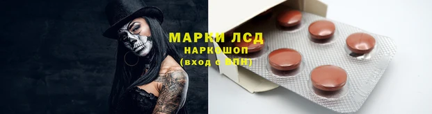ПСИЛОЦИБИНОВЫЕ ГРИБЫ Алексеевка