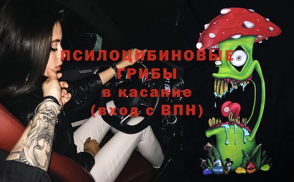 ГАЛЛЮЦИНОГЕННЫЕ ГРИБЫ Протвино