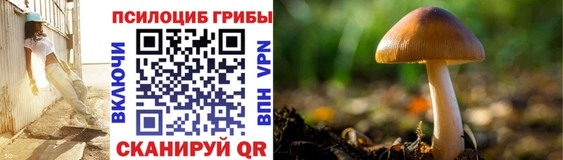 Галлюциногенные грибы GOLDEN TEACHER  Николаевск-на-Амуре 